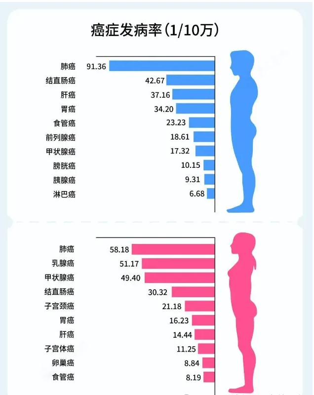 非(fei)“腸”小(xiǎo)心,結直腸癌患者越來越年(nian)輕了(le)!(圖4) 非(fei)“腸”小(xiǎo)心,結直腸癌患者越來越年(nian)輕了(le)!(圖4)